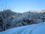 DSCN0740