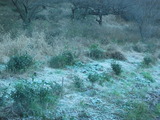 DSCF2701