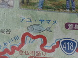アユ???ヤマメ???