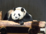 DSCN2862