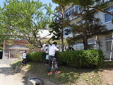 DSCN0917