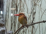 DSCN3969