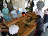DSCN0919