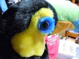 DSCN2625
