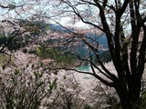 DSCF8094-1