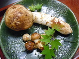 2011_10_24 016