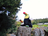 DSCN0216