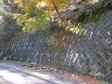 c105346d.JPG