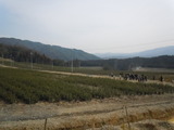 DSCN3347