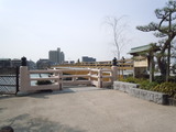 DSCN3369