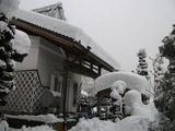 DSCF7628-1