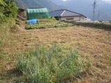 DSCN1823-1