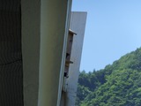 DSCF0188-1