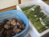 美味しそう♪