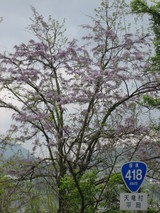 ��ü����