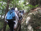 IMG_5551