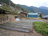 DSCN5588