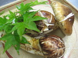 焼松茸に