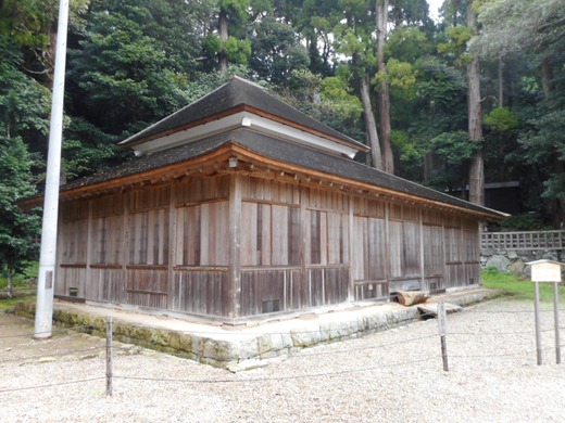 DSCN0263