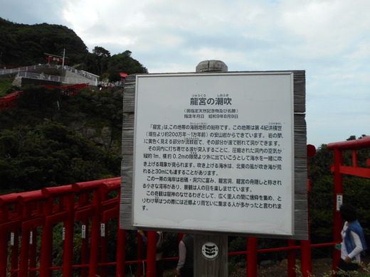 DSCN0191