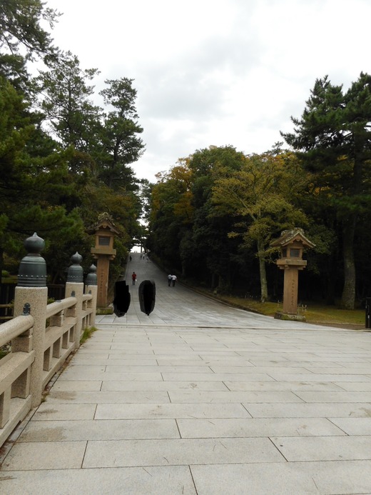 DSCN0236