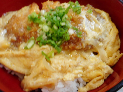 DSCN0218