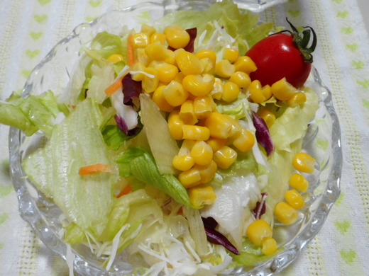 DSCN0083