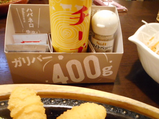 DSCN0109