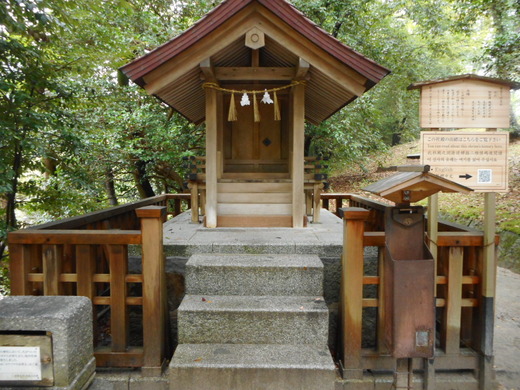 DSCN0233