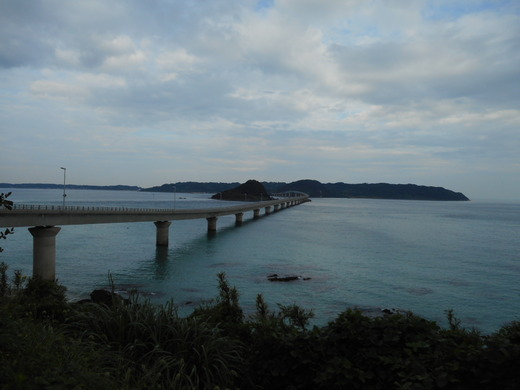 DSCN0173