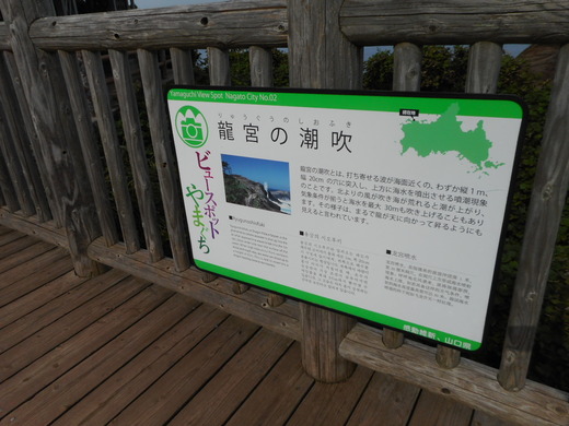 DSCN0189