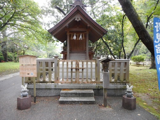 DSCN0279