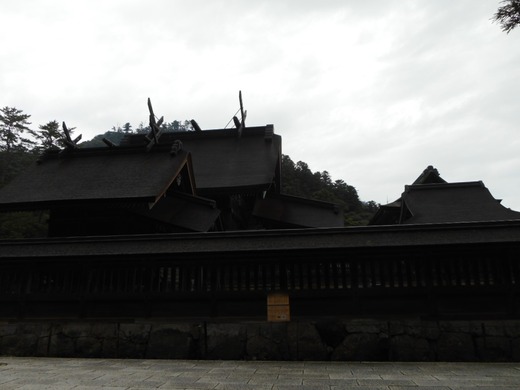 DSCN0256