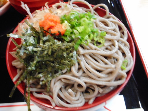 DSCN0217