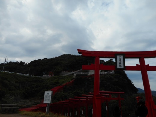 DSCN0193