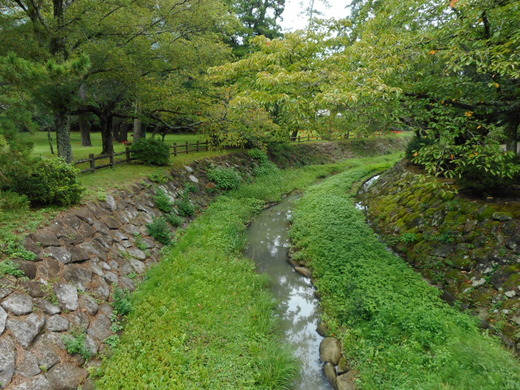 DSCN0235