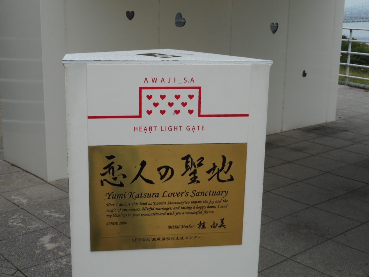 イメージ 7