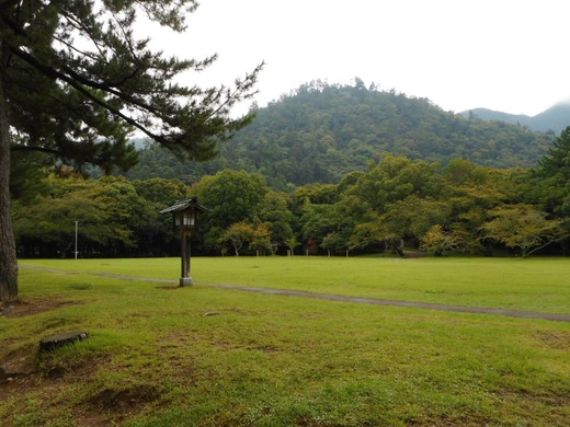 DSCN0239