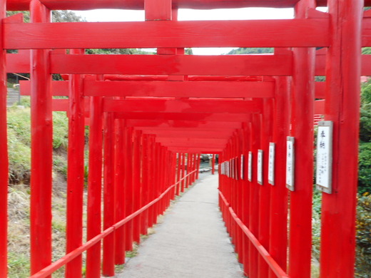 DSCN0197