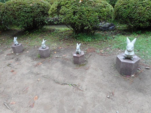 DSCN0270