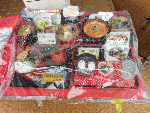 DSCN0203