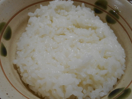 DSCN0027