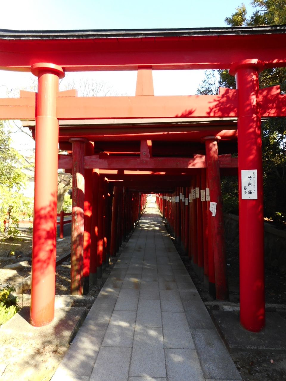 イメージ 11