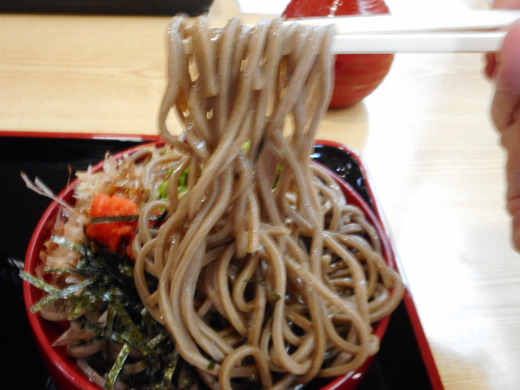 DSCN0221