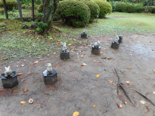 DSCN0273