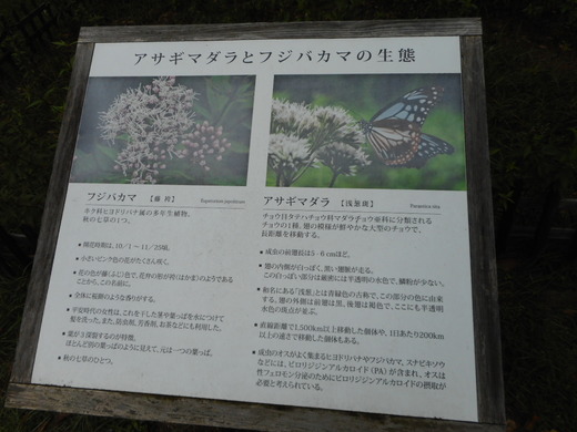 DSCN0269