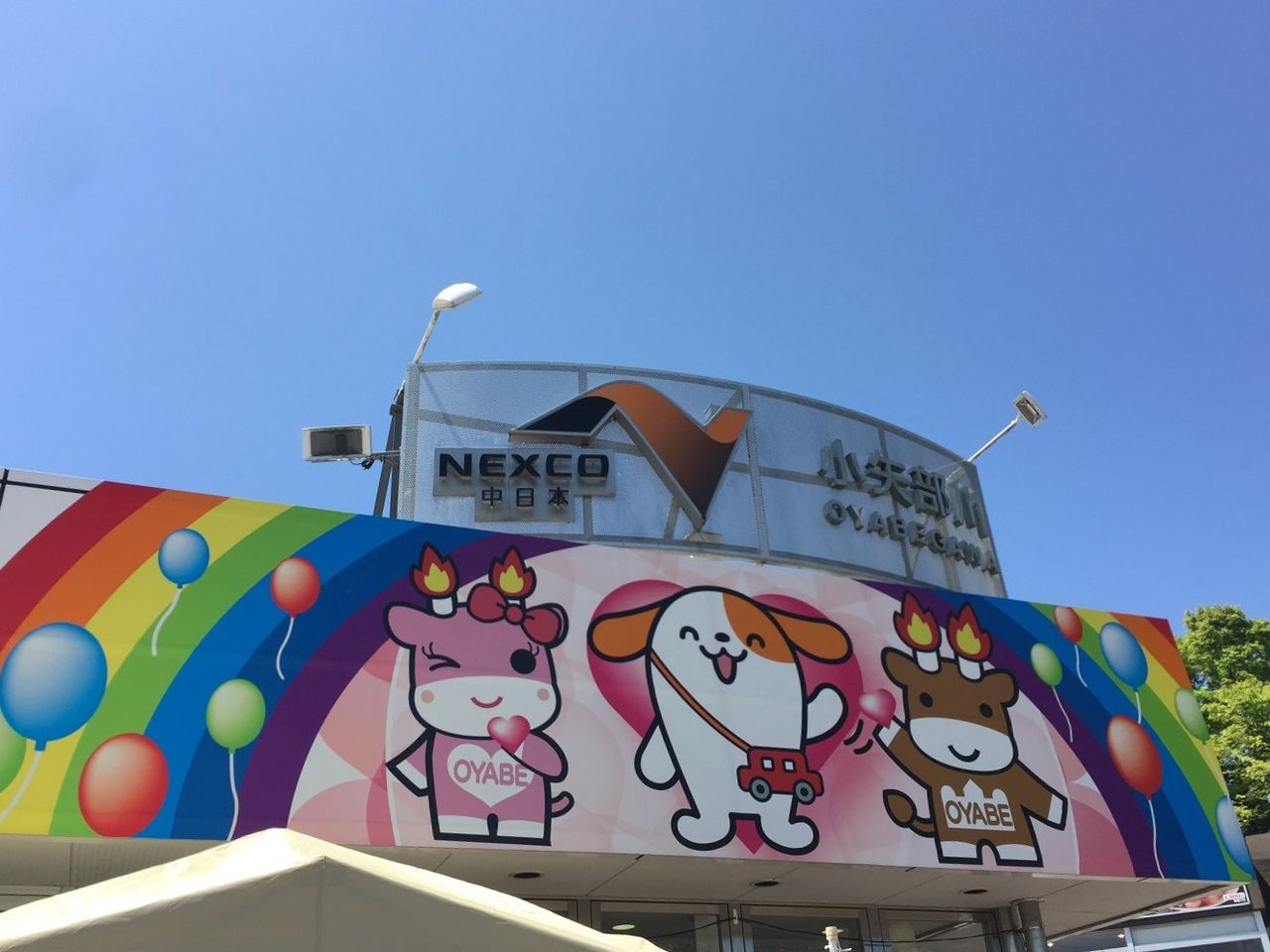 イメージ 4
