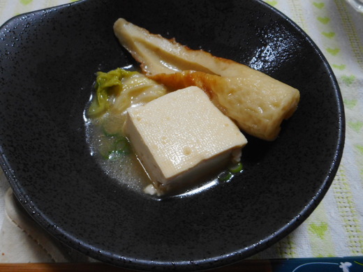 DSCN0049
