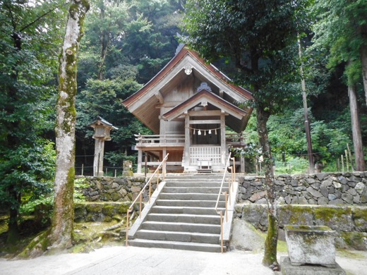 DSCN0262