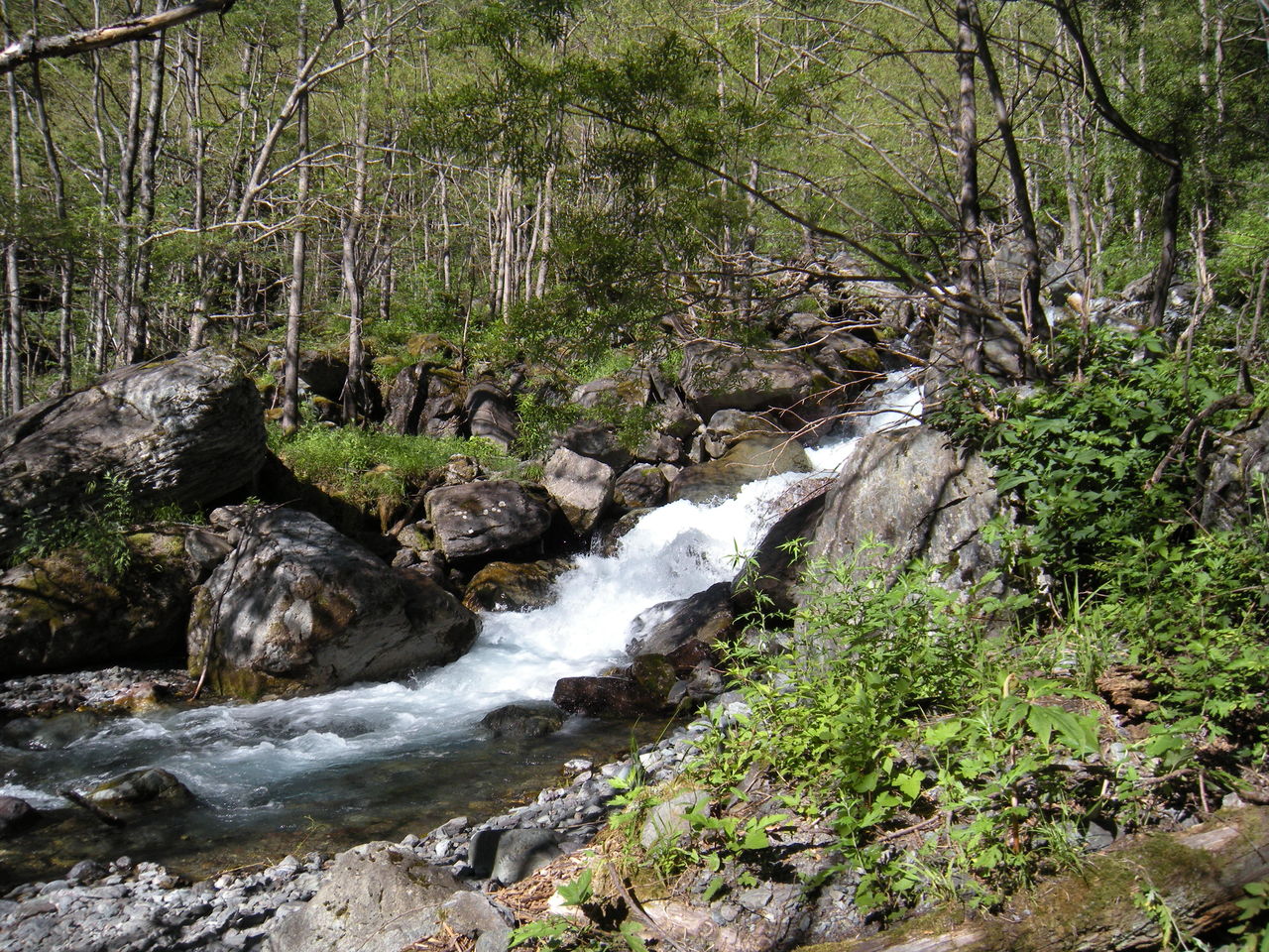 南アルプス北岳登山 登山最高 ヒロシの山行